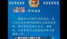 公安大学爆料案件最新,揭秘重大案件背后真相